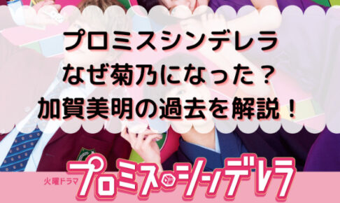 松井玲奈の演技は下手 上手い プロミスシンデレラの菊乃役 口コミの評価は